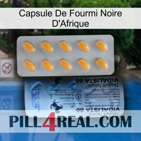 Africa Black Ant Capsule 44